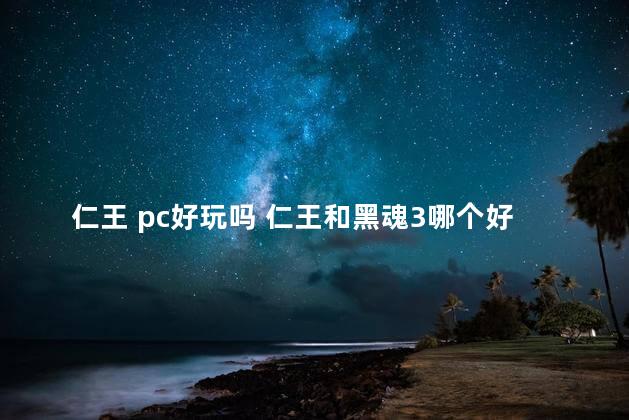 仁王 pc好玩吗 仁王和黑魂3哪个好玩